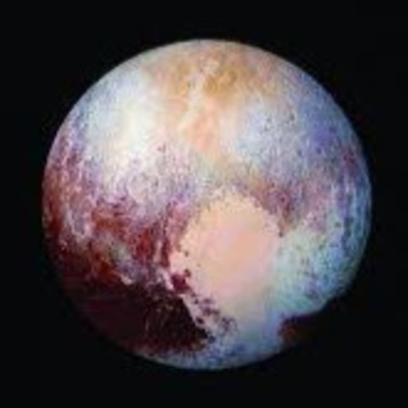 Meet your Posher, Liam - Picture 1 of 1